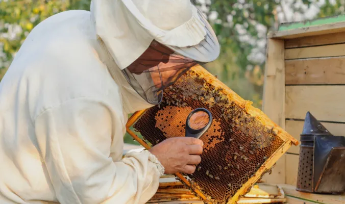 Umbral de control y plan de tratamiento