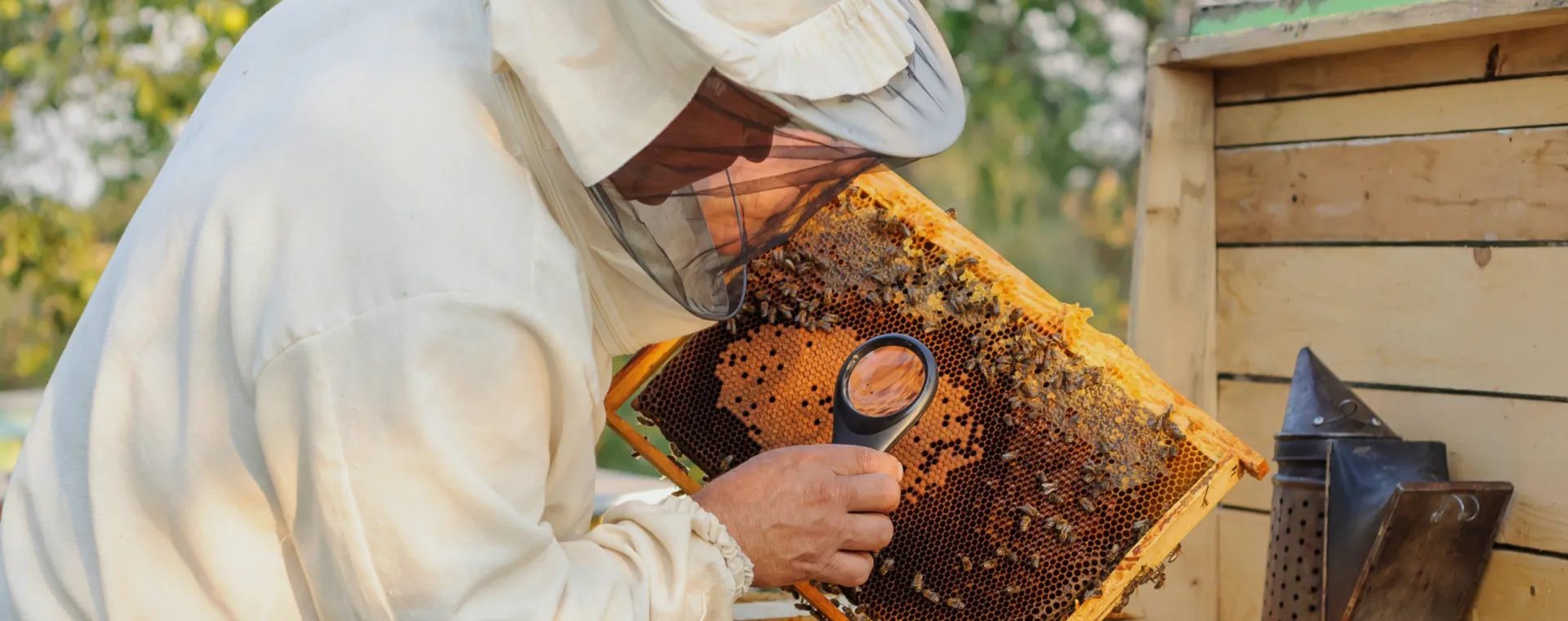 Umbral de control y plan de tratamiento