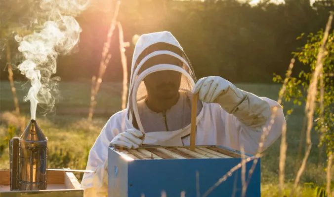 Control de ácaros químicos y orgánicos