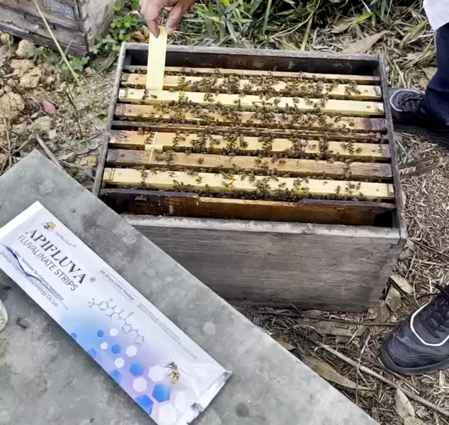 Soluciones suaves para el control de ácaros