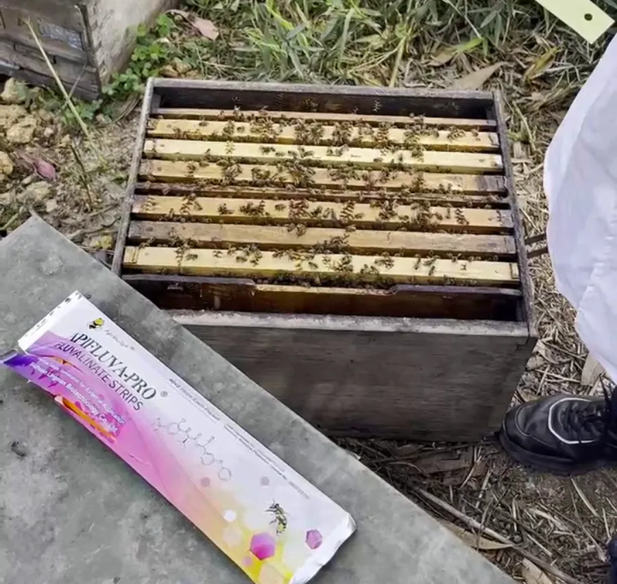 Soluciones para infestaciones graves de ácaros o resistencia a los medicamentos