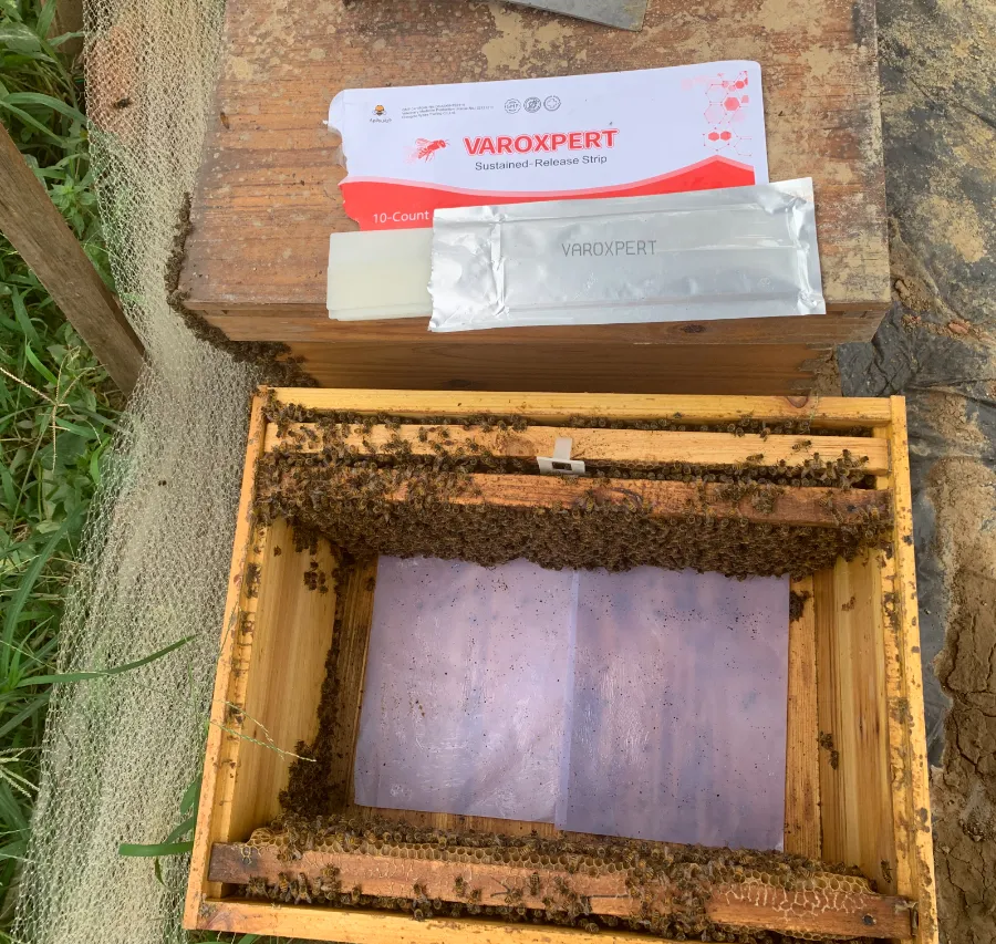 Necesita un tratamiento con eficacia duradera y baja perturbación