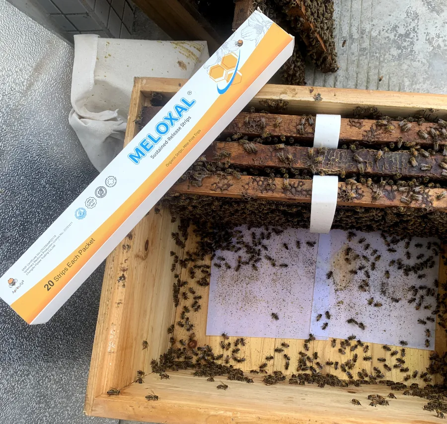 Control de ácaros durante los flujos de néctar de miel