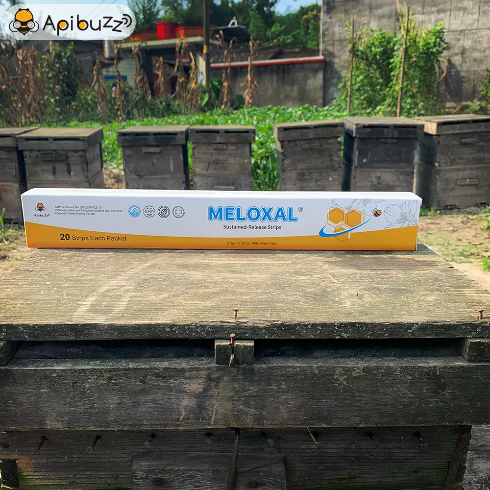 Tiras de ácido oxálico de dosis alta MELOXAL