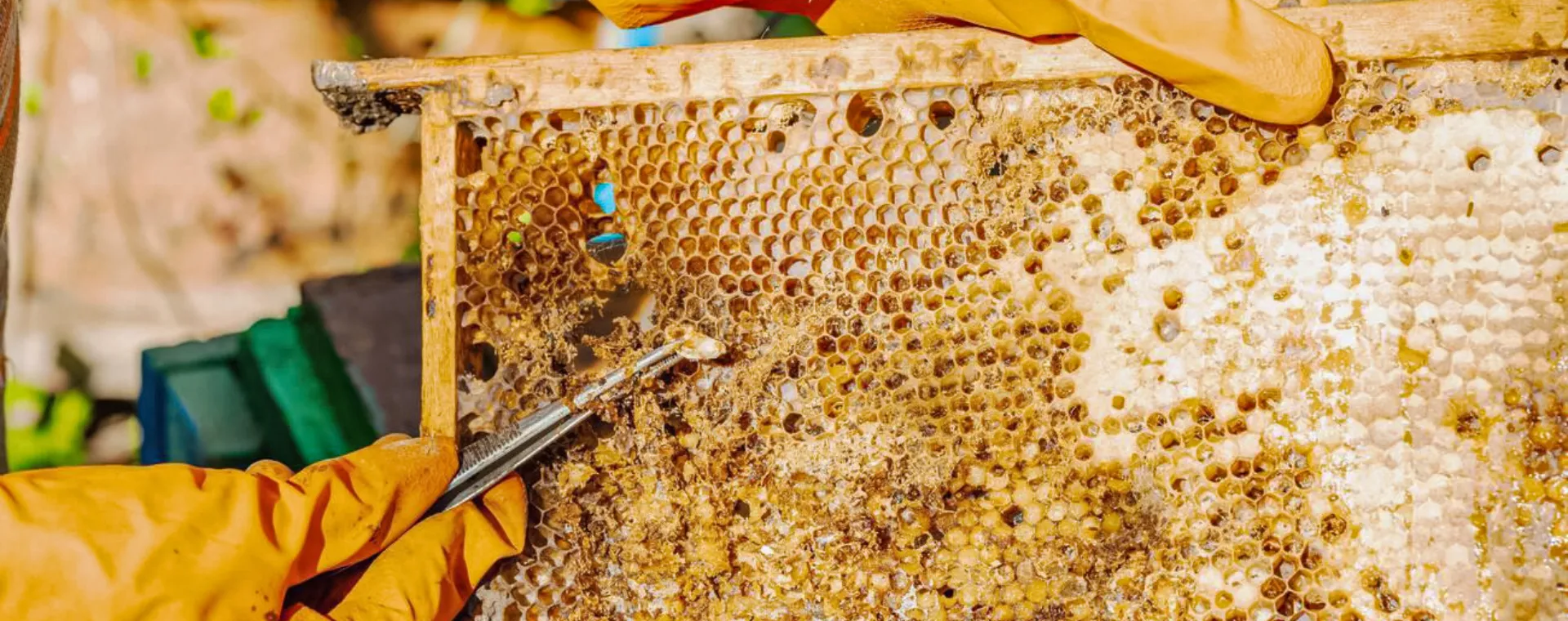 Las cinco líneas de defensa que necesitas establecer