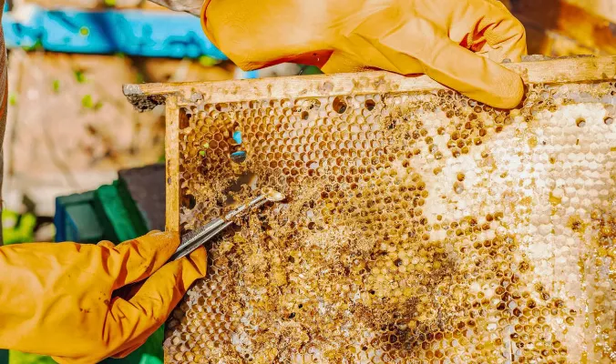 Las cinco líneas de defensa que necesitas establecer