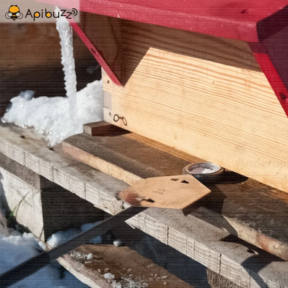 Vaporizador de ácido oxálico Varrox