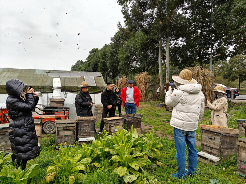 El distribuidor ruso Victor visita APIBUZZ sobre Bee's Things