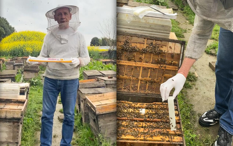 El distribuidor ruso Victor visita APIBUZZ sobre Bee's Things