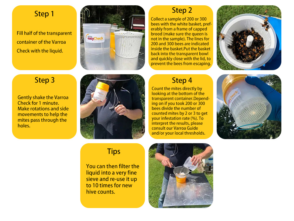 Monitoreo de la tasa de infestación por ácaros Varroa