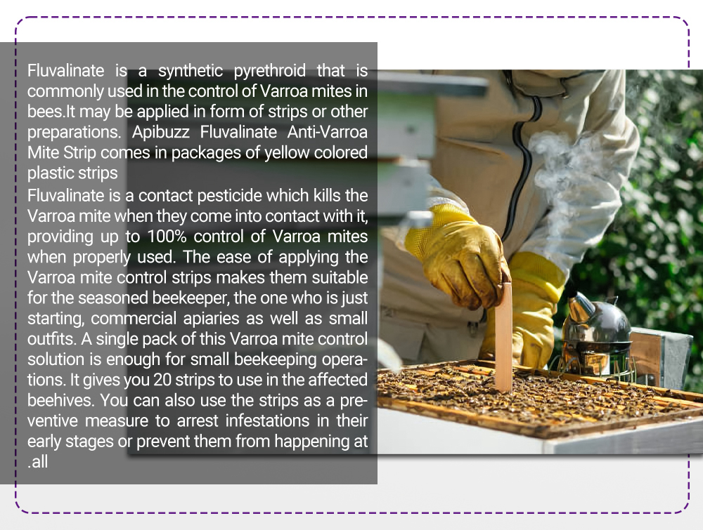 APIFLUVA-PRO Tiras Varroa