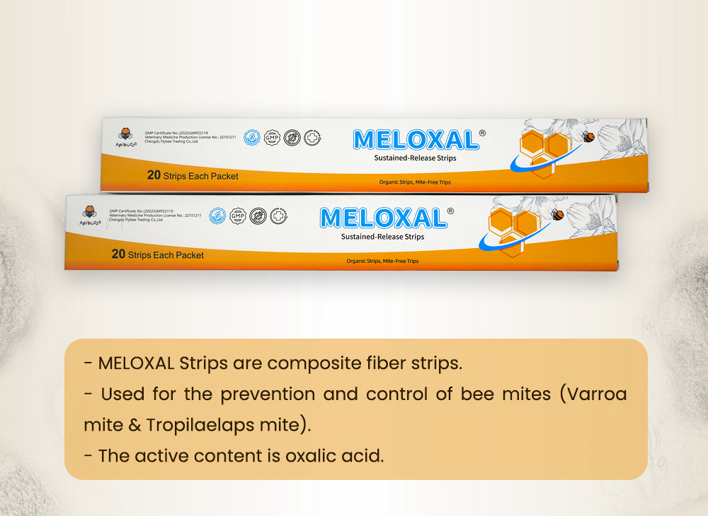Tiras de ácido oxálico de dosis alta MELOXAL