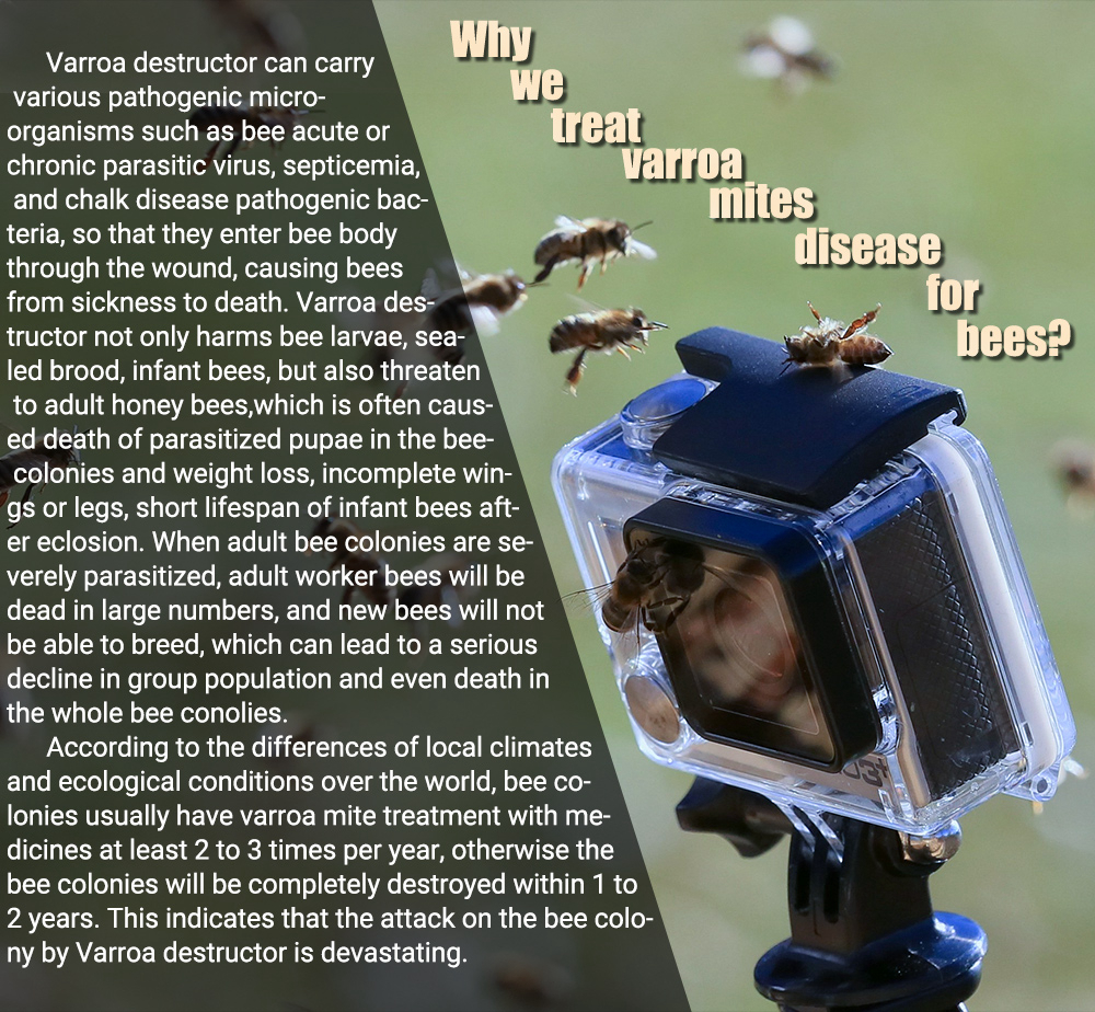 Solución LINGMAN 12,5% EC Amitraz de abejas