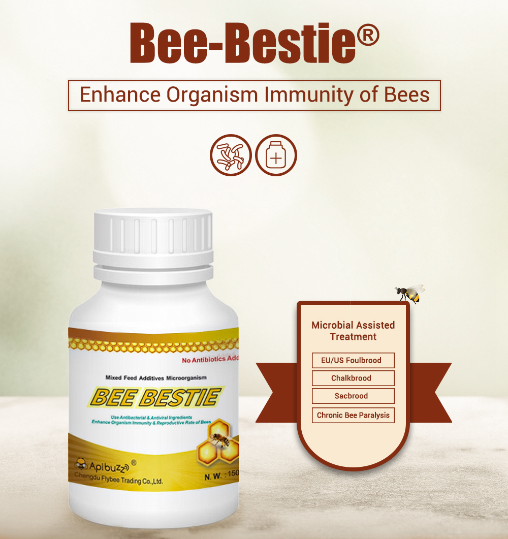 BEE-BESTIE - Suplementos alimenticios microbianos para abejas