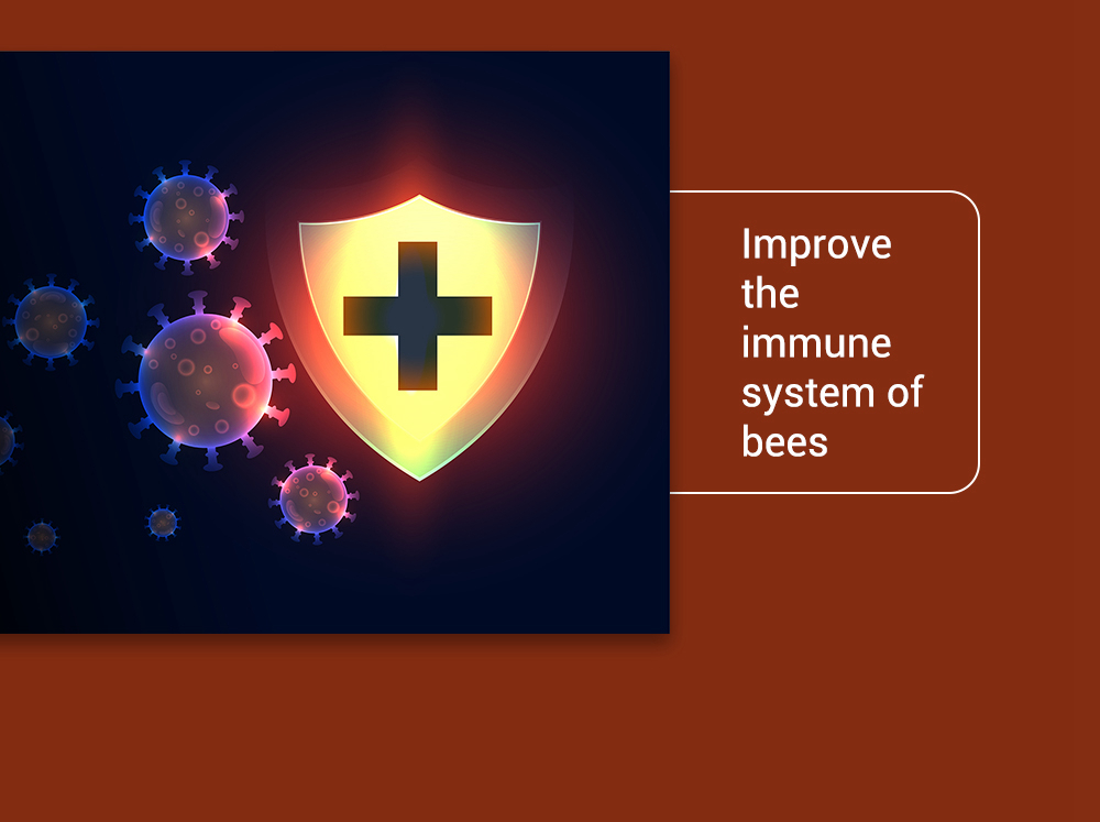 BEE-BESTIE - Suplementos alimenticios microbianos para abejas
