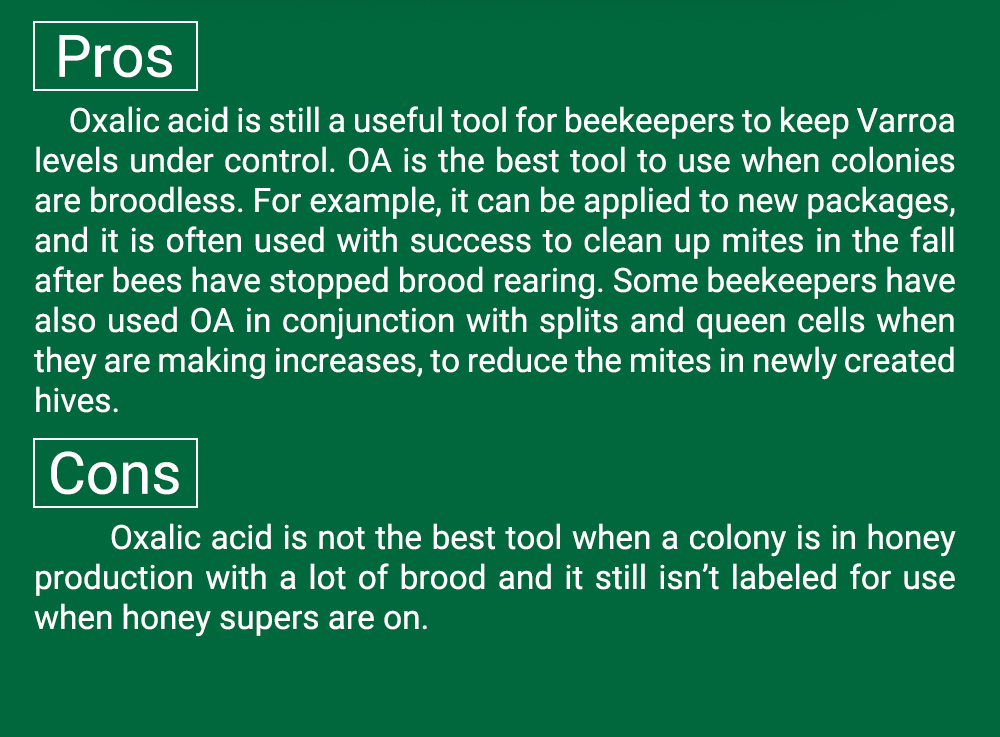 Tratamiento con ácido oxálico MYTH-BEE para abejas