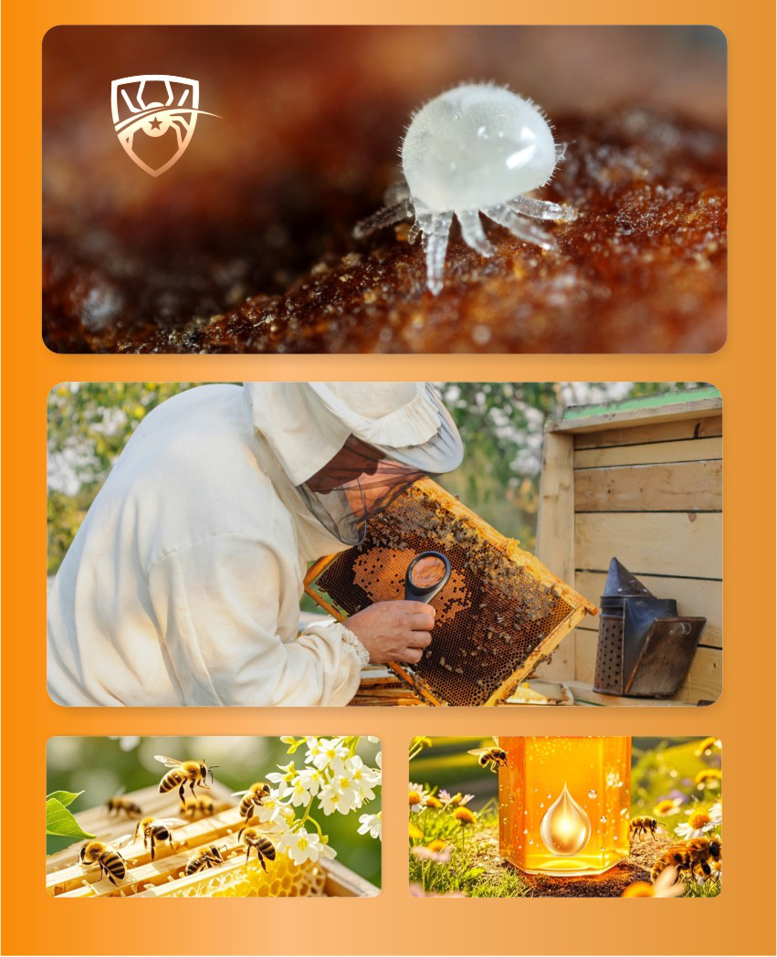 BEE-AMOR Spray Mixto de Ácido Fórmico para Abejas