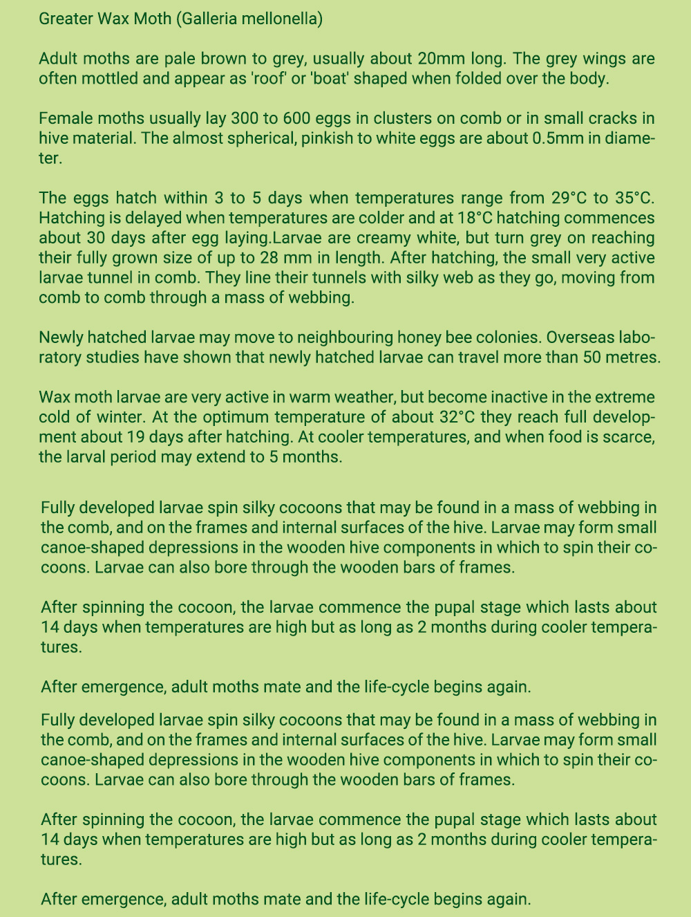 APIBUZZ Tiras de madera para tratamiento de polillas de cera de colmena | Paquete de 10 unidades