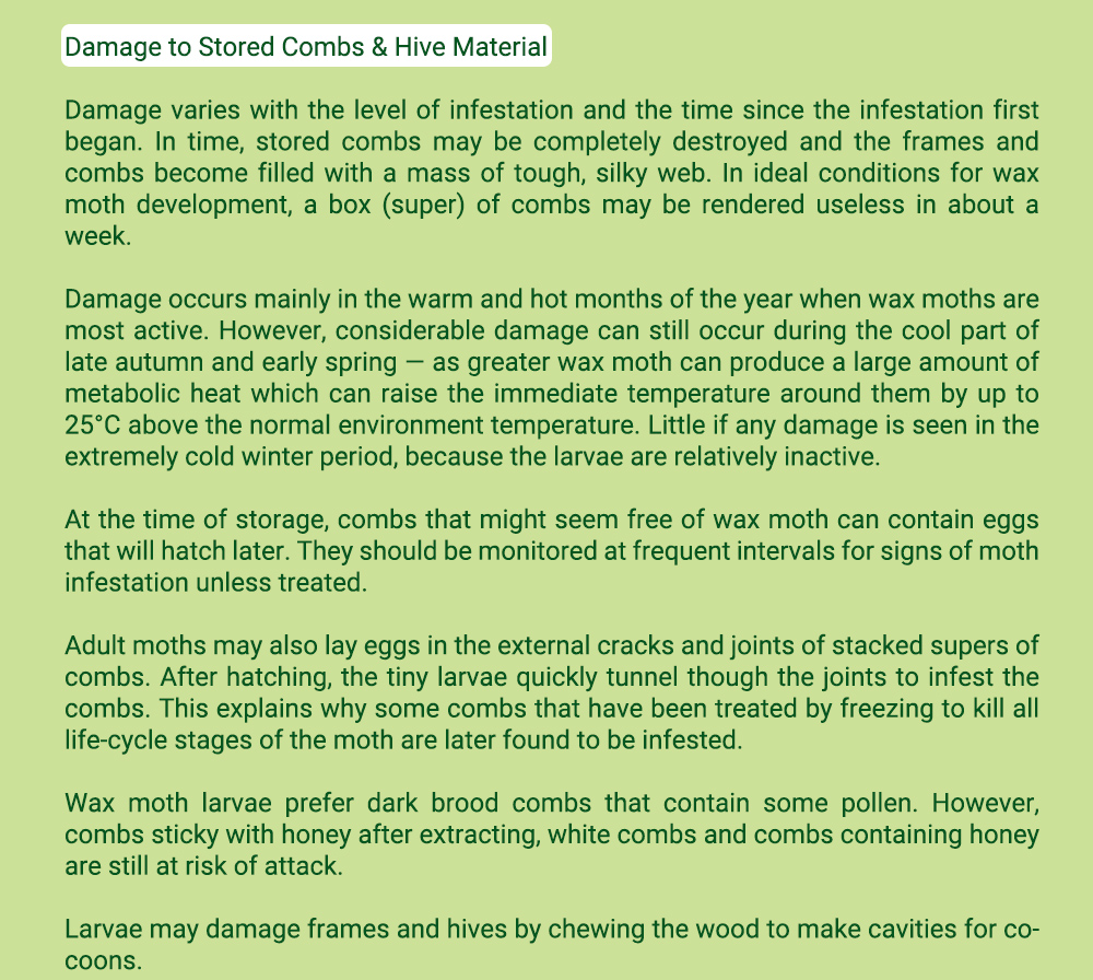 APIBUZZ Tiras de madera para tratamiento de polillas de cera de colmena | Paquete de 10 unidades