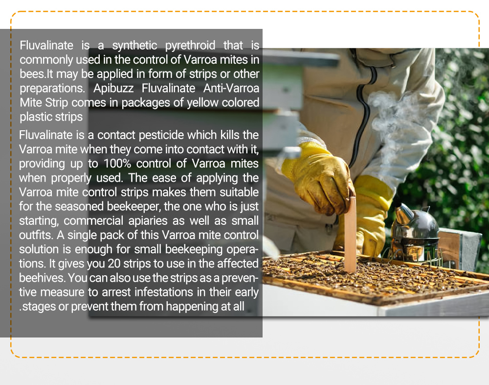 Tiras de fluvalinato APIFLUVA árabe - Paquete de 20